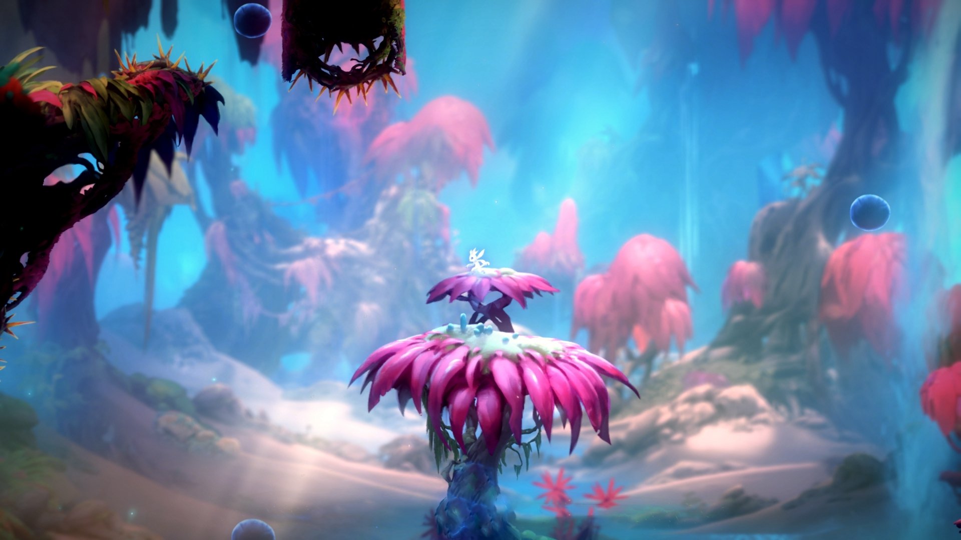 开云体育中国-塞内加尔新王登基！欧冠半决赛阿圭罗天神下凡，米兰王朝遭遇非洲震撼教育