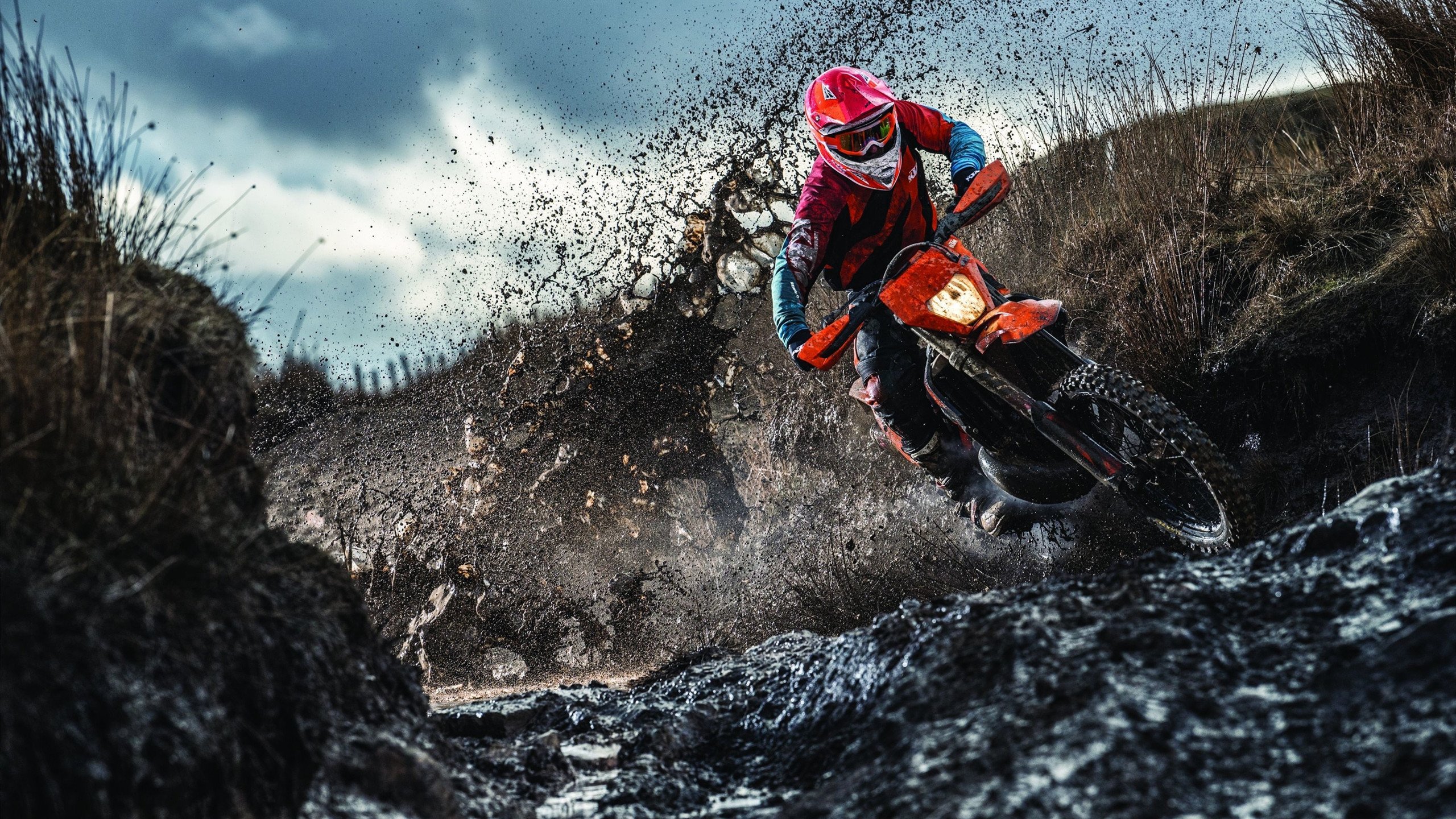 从上海滩到巴林赛道，当体育掌控力跨越维度