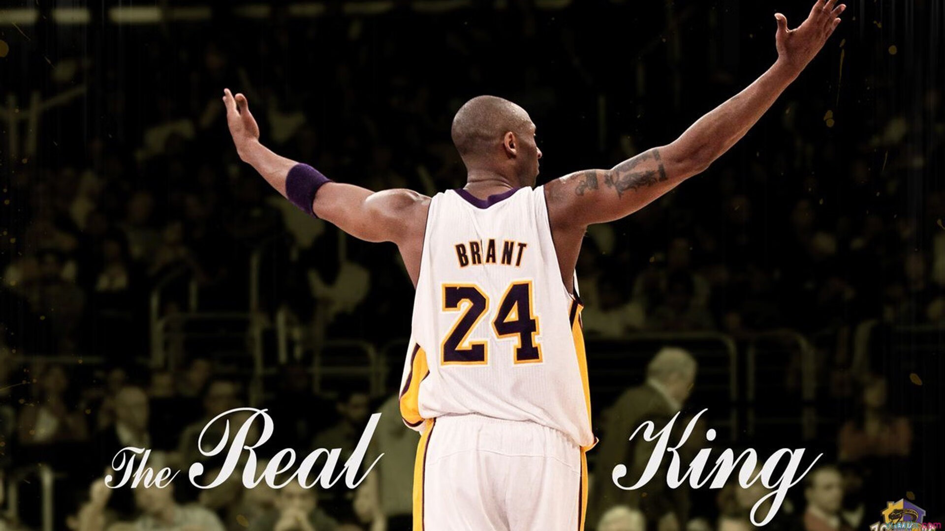 开云体育入口-死神挥镰难敌群狼，当杜兰特的无解变成国王胜利的注脚